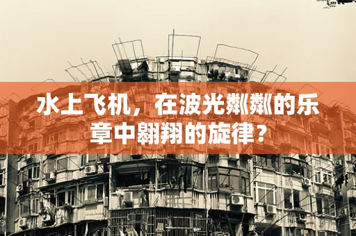 水上飞机，在波光粼粼的乐章中翱翔的旋律？