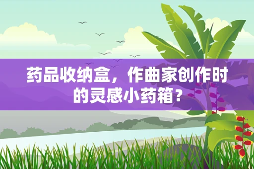 药品收纳盒，作曲家创作时的灵感小药箱？