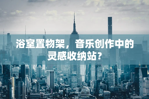 浴室置物架，音乐创作中的灵感收纳站？