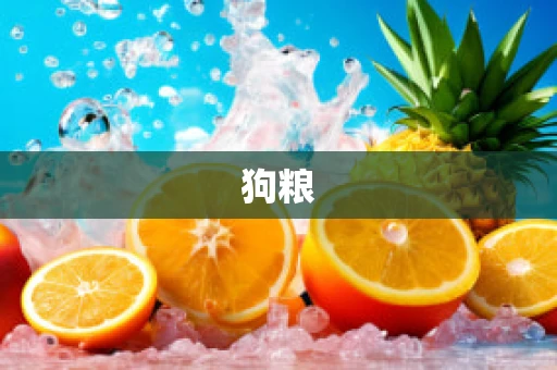 狗粮