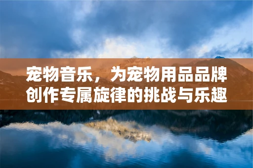 宠物音乐，为宠物用品品牌创作专属旋律的挑战与乐趣