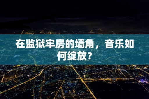 在监狱牢房的墙角，音乐如何绽放？