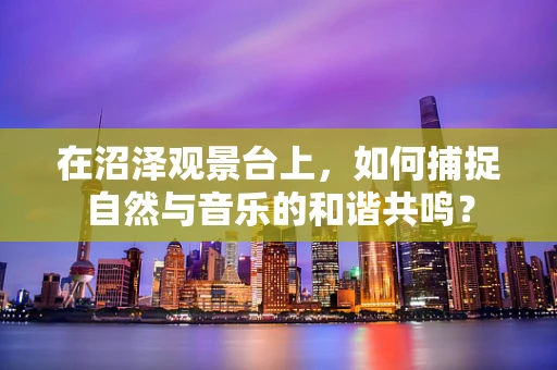 在沼泽观景台上，如何捕捉自然与音乐的和谐共鸣？