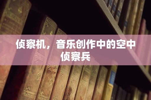 侦察机，音乐创作中的空中侦察兵
