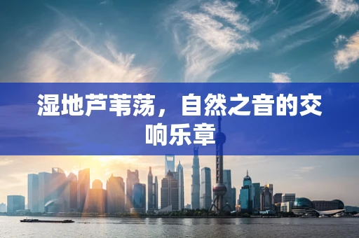 湿地芦苇荡，自然之音的交响乐章