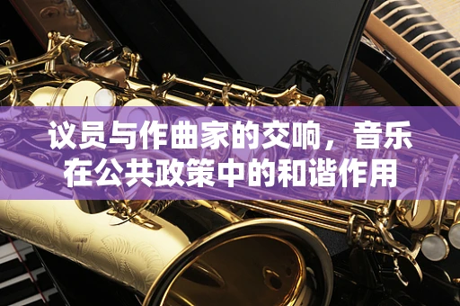 议员与作曲家的交响，音乐在公共政策中的和谐作用