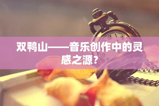 双鸭山——音乐创作中的灵感之源？