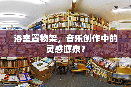 浴室置物架，音乐创作中的灵感源泉？