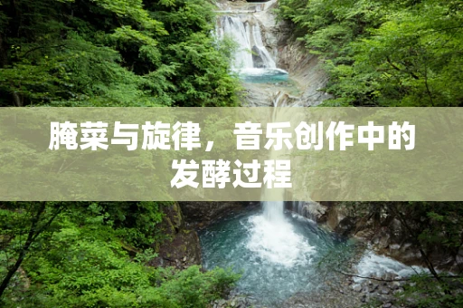 腌菜与旋律，音乐创作中的发酵过程
