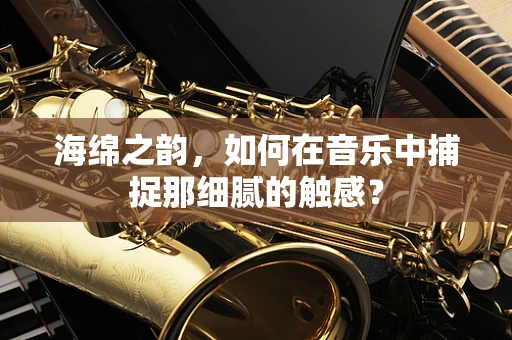 海绵之韵，如何在音乐中捕捉那细腻的触感？