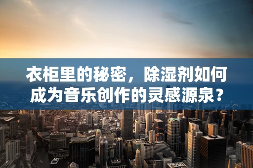 衣柜里的秘密，除湿剂如何成为音乐创作的灵感源泉？