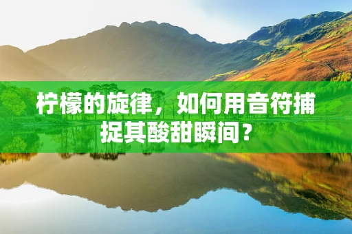 柠檬的旋律，如何用音符捕捉其酸甜瞬间？