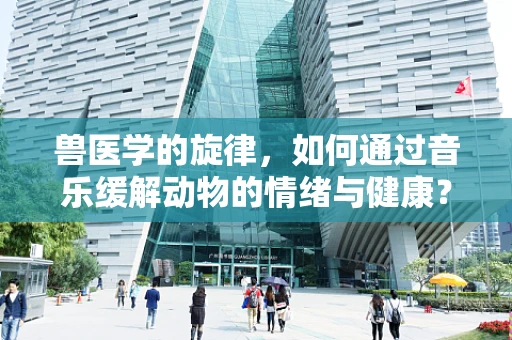 兽医学的旋律，如何通过音乐缓解动物的情绪与健康？