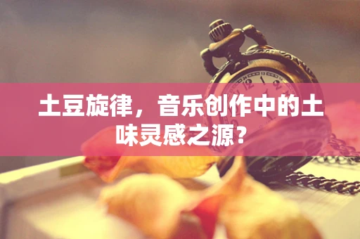 土豆旋律，音乐创作中的土味灵感之源？
