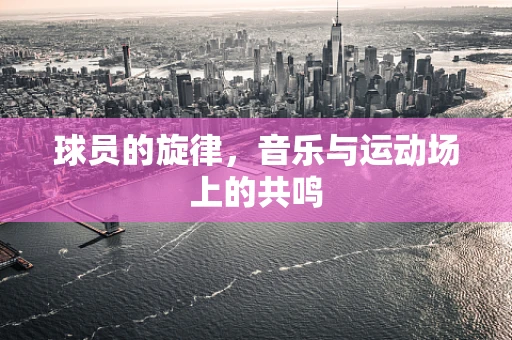 球员的旋律，音乐与运动场上的共鸣