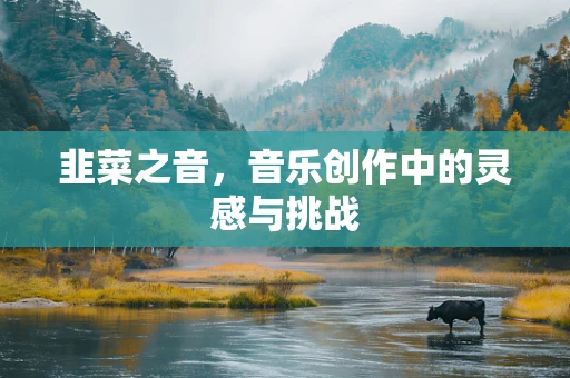 韭菜之音，音乐创作中的灵感与挑战