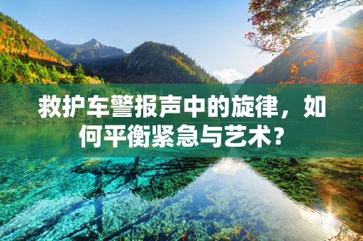救护车警报声中的旋律，如何平衡紧急与艺术？
