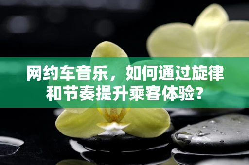 网约车音乐，如何通过旋律和节奏提升乘客体验？