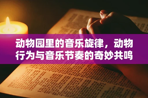 动物园里的音乐旋律，动物行为与音乐节奏的奇妙共鸣？