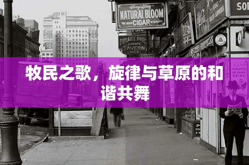 牧民之歌，旋律与草原的和谐共舞
