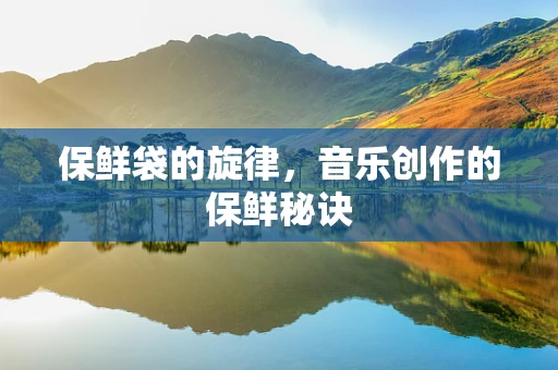 保鲜袋的旋律，音乐创作的保鲜秘诀