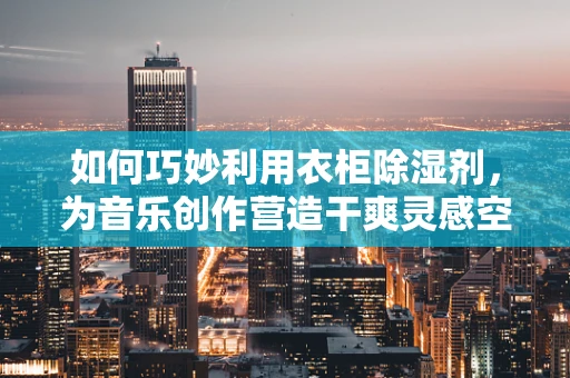 如何巧妙利用衣柜除湿剂，为音乐创作营造干爽灵感空间？