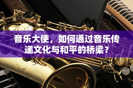 音乐大使，如何通过音乐传递文化与和平的桥梁？
