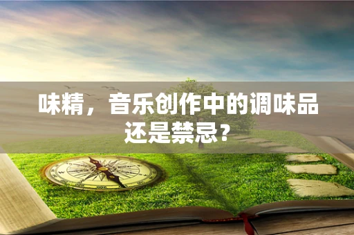 味精，音乐创作中的调味品还是禁忌？
