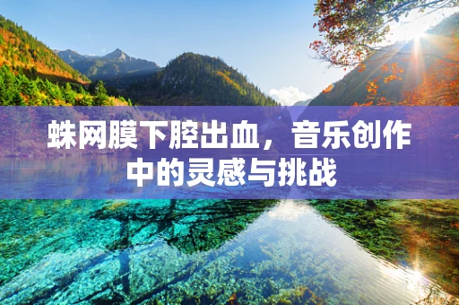 蛛网膜下腔出血，音乐创作中的灵感与挑战