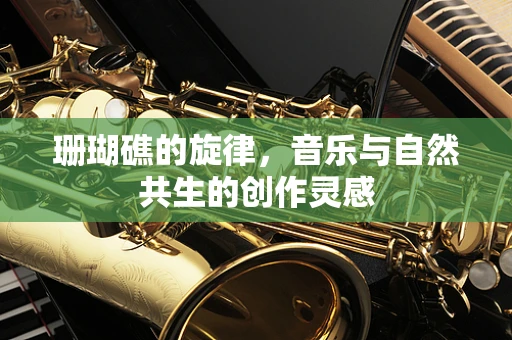 珊瑚礁的旋律，音乐与自然共生的创作灵感