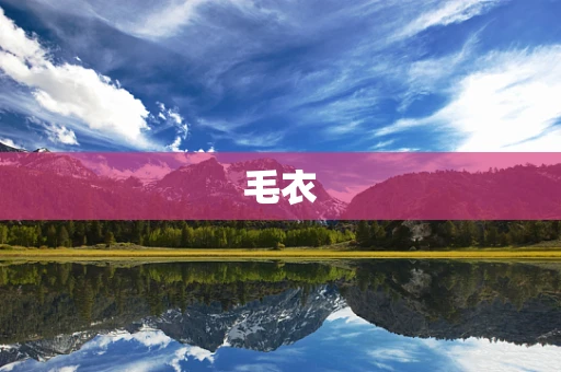 毛衣