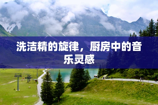 洗洁精的旋律，厨房中的音乐灵感