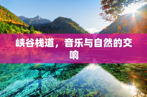 峡谷栈道，音乐与自然的交响