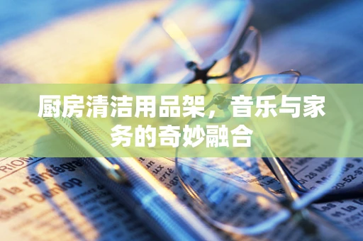 厨房清洁用品架，音乐与家务的奇妙融合