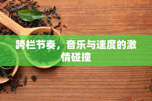 跨栏节奏，音乐与速度的激情碰撞