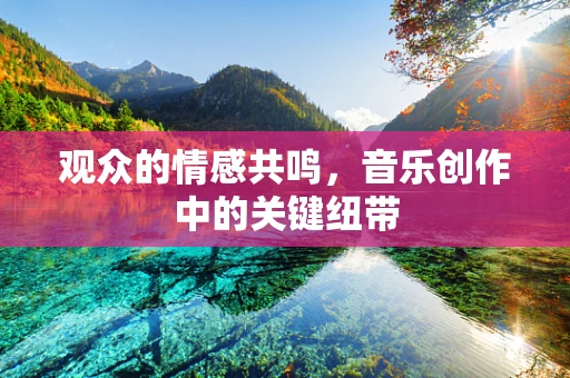 观众的情感共鸣，音乐创作中的关键纽带