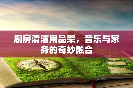 厨房清洁用品架，音乐与家务的奇妙融合