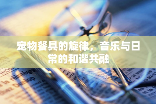 宠物餐具的旋律，音乐与日常的和谐共融