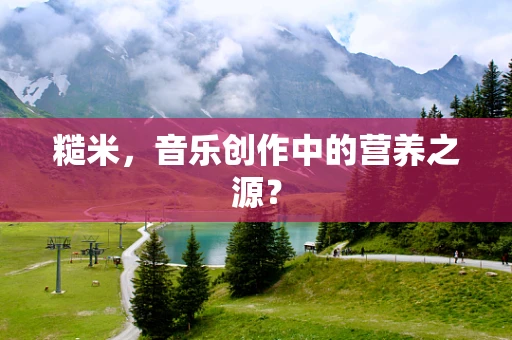 糙米，音乐创作中的营养之源？