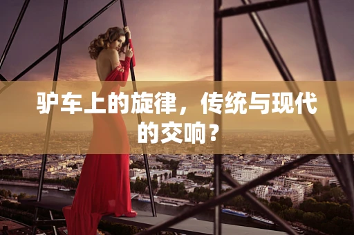 驴车上的旋律，传统与现代的交响？