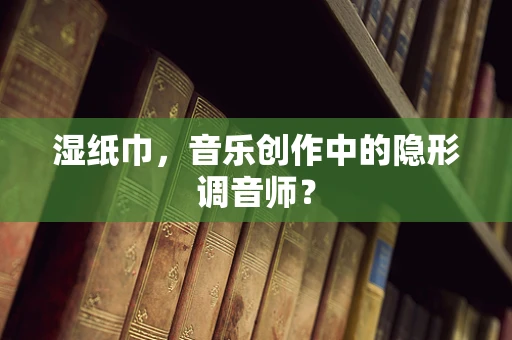 湿纸巾，音乐创作中的隐形调音师？