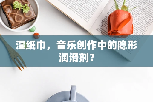 湿纸巾，音乐创作中的隐形润滑剂？
