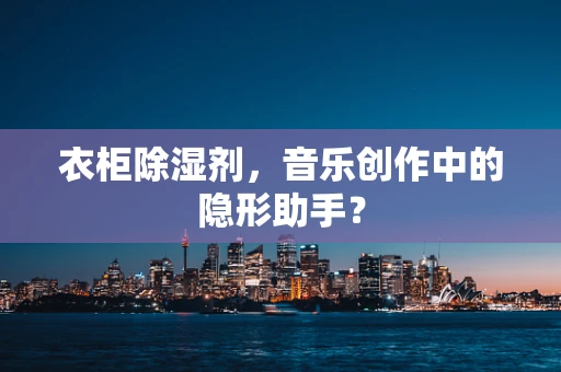 衣柜除湿剂，音乐创作中的隐形助手？