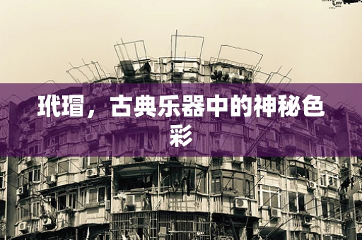 玳瑁，古典乐器中的神秘色彩