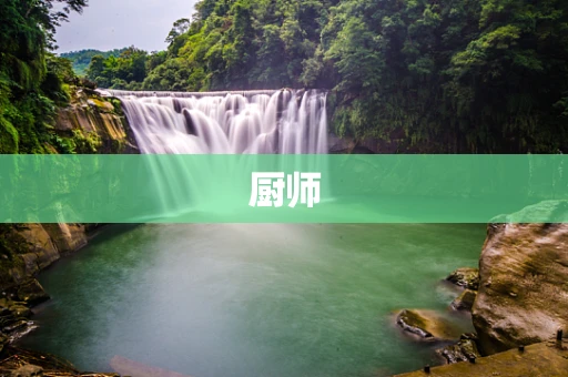 厨师