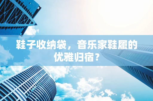 鞋子收纳袋，音乐家鞋履的优雅归宿？