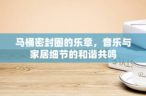 马桶密封圈的乐章，音乐与家居细节的和谐共鸣