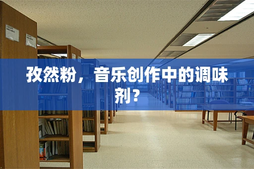 孜然粉，音乐创作中的调味剂？