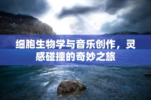 细胞生物学与音乐创作，灵感碰撞的奇妙之旅
