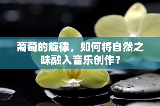 葡萄的旋律，如何将自然之味融入音乐创作？